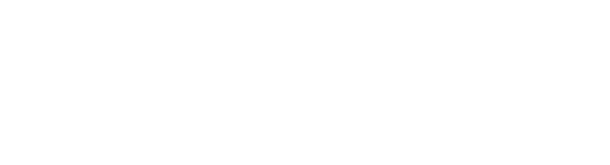 Pilgrim Data Services